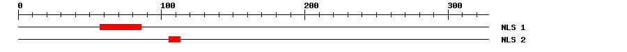 NLS