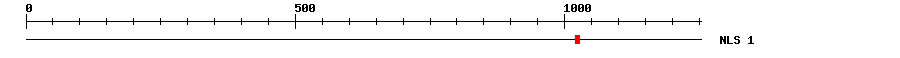 NLS