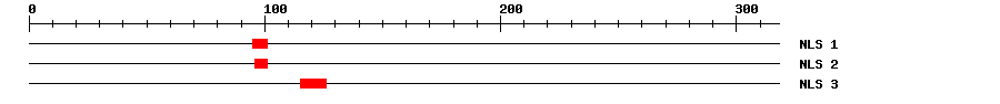 NLS