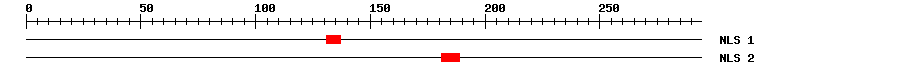 NLS