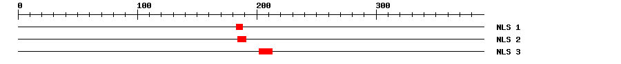 NLS