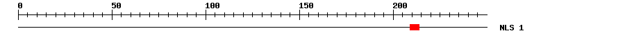 NLS