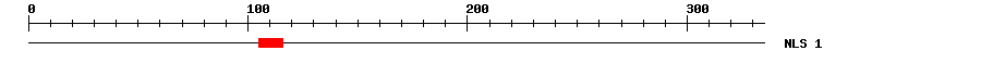 NLS