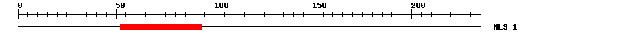 NLS