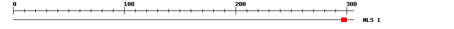 NLS