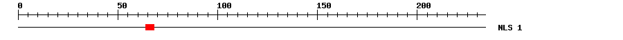 NLS