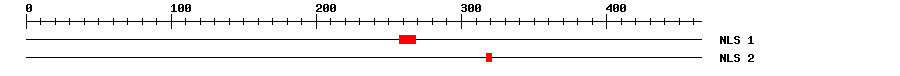 NLS