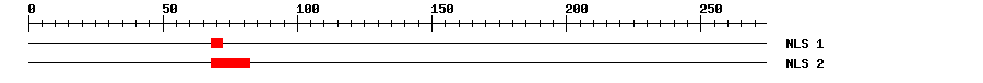 NLS