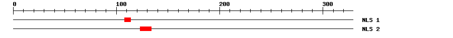 NLS