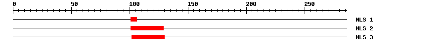 NLS