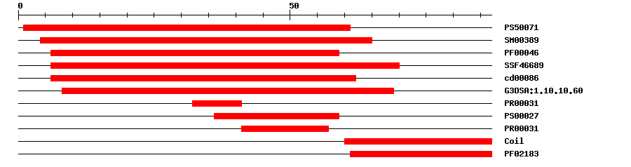 3D Structure