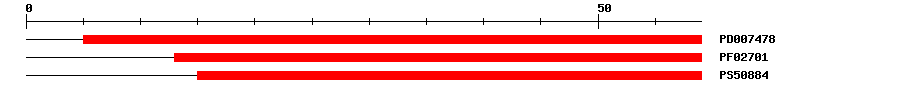 3D Structure