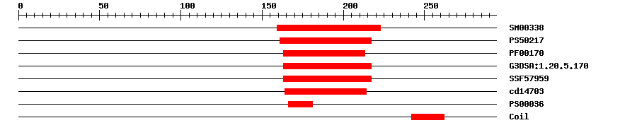 3D Structure