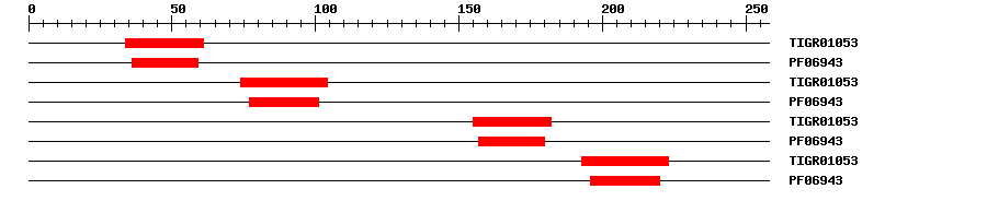 3D Structure
