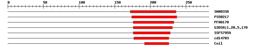 3D Structure