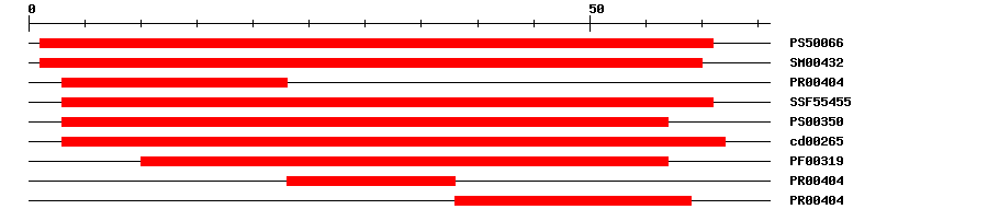 3D Structure