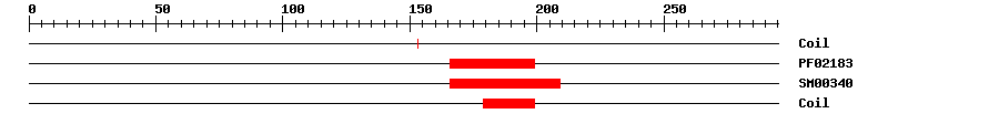 3D Structure