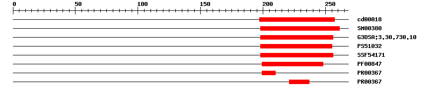 3D Structure