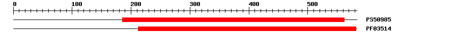 3D Structure