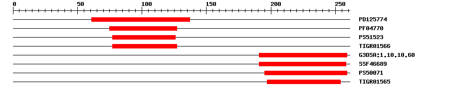 3D Structure