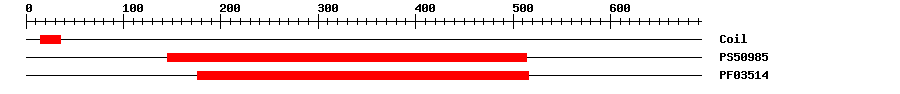 3D Structure