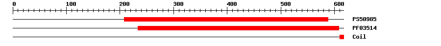 3D Structure