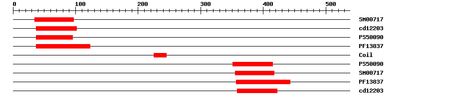 3D Structure