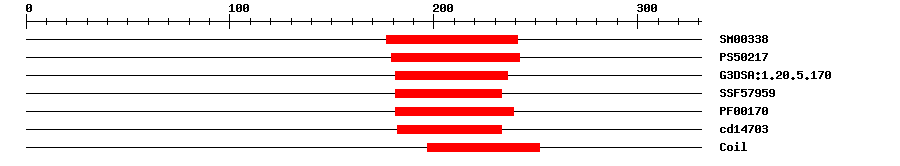 3D Structure