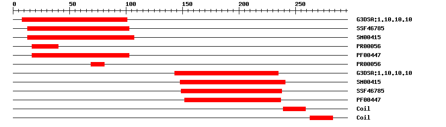 3D Structure