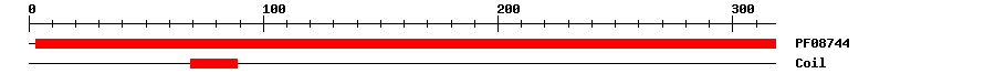 3D Structure