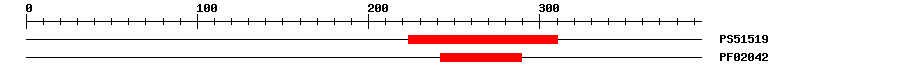 3D Structure