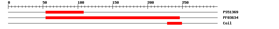 3D Structure