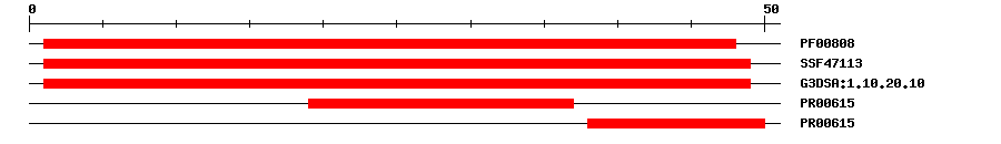 3D Structure