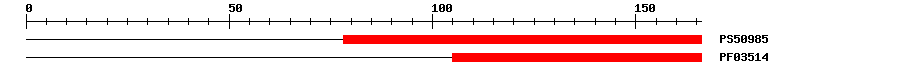 3D Structure