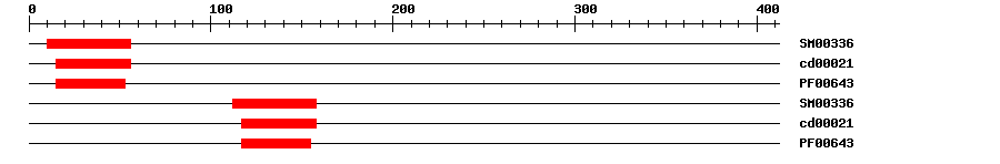 3D Structure
