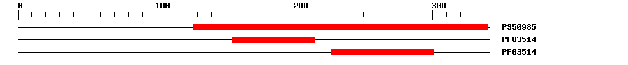 3D Structure