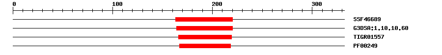 3D Structure