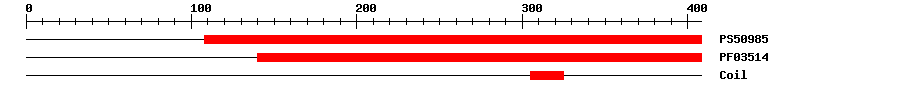 3D Structure