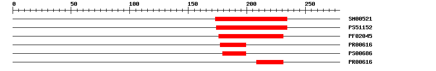 3D Structure