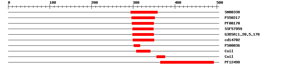 3D Structure