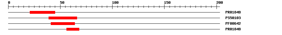 3D Structure