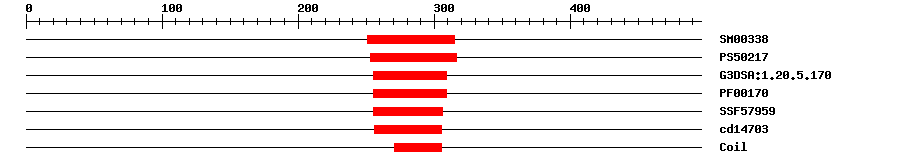 3D Structure