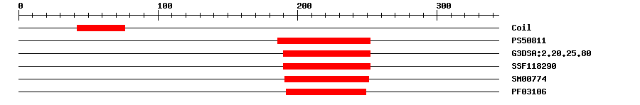 3D Structure