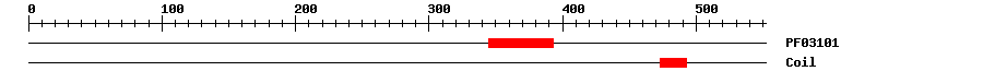3D Structure