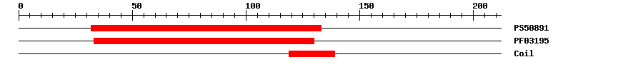3D Structure
