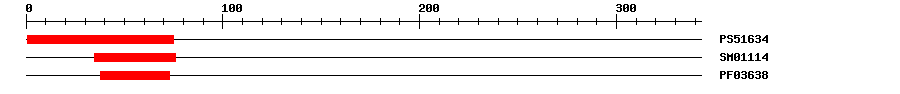 3D Structure