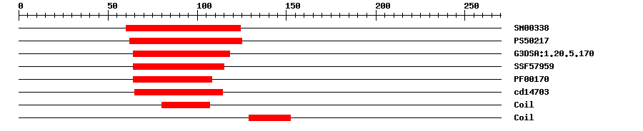 3D Structure