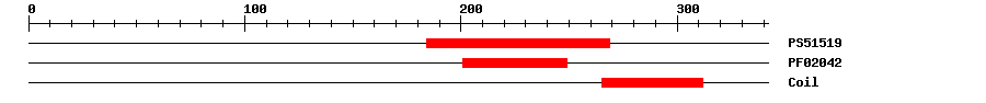 3D Structure