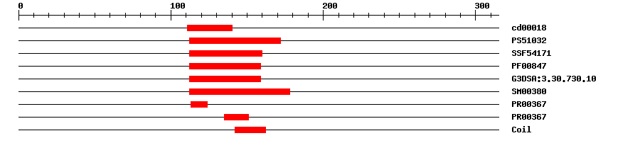 3D Structure