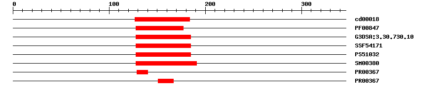 3D Structure